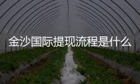 金沙国际提现流程是什么？详细步骤与到账时间解析