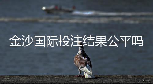 金沙国际投注结果公平吗？深度解析平台公正性与玩家实测反馈