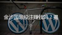 金沙国际投注赚钱吗？揭秘真实盈利策略与实战技巧