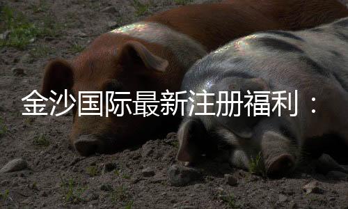 金沙国际最新注册福利:新会员专享豪礼与首存优惠揭秘