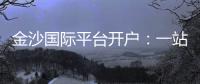 金沙国际平台开户：一站式娱乐投注体验与开户指南