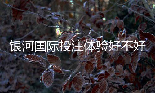 银河国际投注体验好不好?资深玩家亲测平台真实体验分享