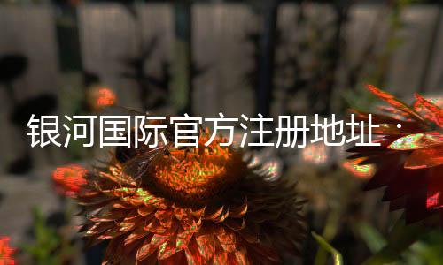 银河国际官方注册地址：轻松获取官网入口与最新优惠活动