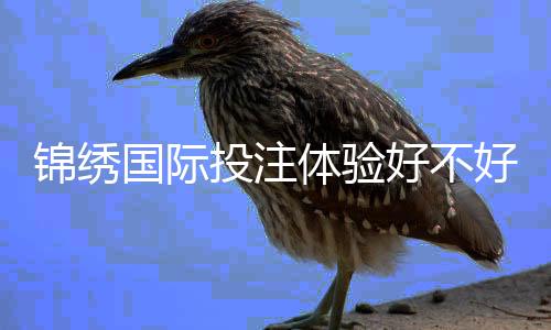 锦绣国际投注体验好不好：玩家真实评价揭秘