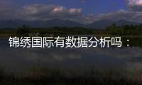 锦绣国际有数据分析吗：投注与游艺经验分享
