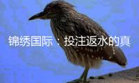 锦绣国际：投注返水的真实体验与攻略