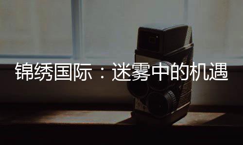 锦绣国际：迷雾中的机遇与挑战