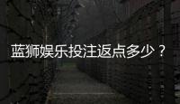 蓝狮娱乐投注返点多少？揭秘高返水比例与实战技巧