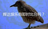 辉达娱乐有即时比分吗？一文详解比分查询与玩法攻略