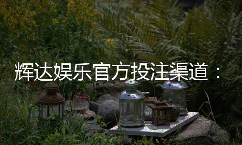 辉达娱乐官方投注渠道:安全可靠的顶级博彩平台推荐