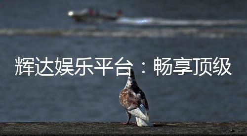 辉达娱乐平台：畅享顶级电子游艺的非凡体验