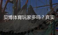 贝博体育玩家多吗？真实用户量、人气与口碑深度解析