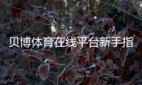 贝博体育在线平台新手指南：注册流程、玩法解析与安全攻略