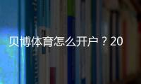 贝博体育怎么开户？2026最新版注册流程、新手实名认证与充值详解