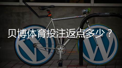 贝博体育投注返点多少？最新返点比例与计算方法详解