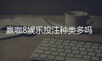 赢咖8娱乐投注种类多吗？全面解析平台热门游戏与特色玩法