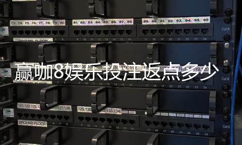 赢咖8娱乐投注返点多少?揭秘高返水福利与实战技巧