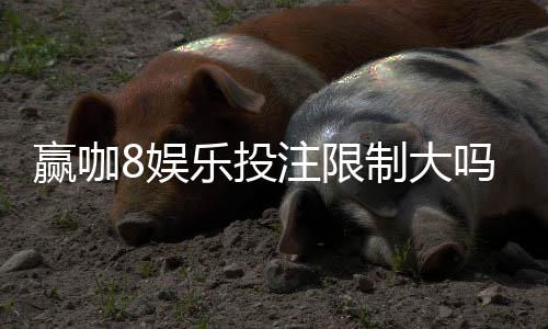 赢咖8娱乐投注限制大吗？深度解析平台规则与投注策略