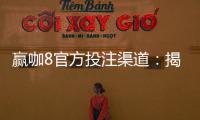 赢咖8官方投注渠道：揭秘稳定高赔率的娱乐平台入口