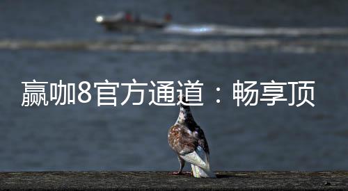 赢咖8官方通道:畅享顶级电子游艺的制胜秘诀