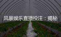 风暴娱乐直播投注：揭秘高胜率玩家的实战技巧与策略