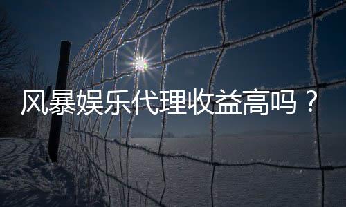 风暴娱乐代理收益高吗？资深玩家揭秘真实收入与加盟策略