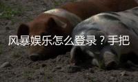 风暴娱乐怎么登录？手把手教你快速进入游戏平台