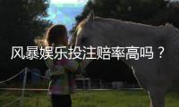 风暴娱乐投注赔率高吗？深度解析平台优势与实战技巧