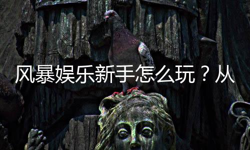 风暴娱乐新手怎么玩？从注册到赢钱的完整入门指南
