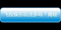 飞投娱乐玩法多吗？揭秘其丰富多样的游戏选择与特色