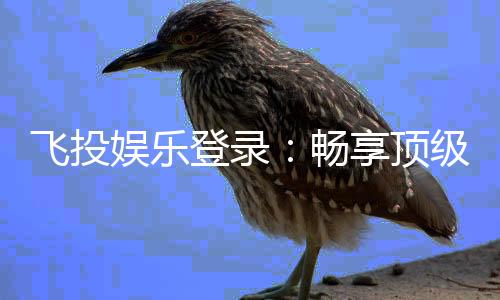 飞投娱乐登录：畅享顶级电子游艺的快速通道