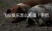 飞投娱乐怎么充值？手把手教你快速到账畅玩攻略