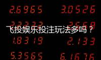 飞投娱乐投注玩法多吗？深度解析其丰富游戏选择与特色玩法