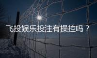 飞投娱乐投注有操控吗？深度解析平台公平性与防作弊机制