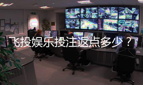飞投娱乐投注返点多少？揭秘高返水福利与实战技巧