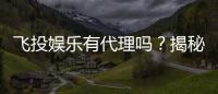 飞投娱乐有代理吗？揭秘代理加盟条件与流程