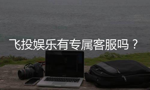 飞投娱乐有专属客服吗？平台客服服务体验全解析