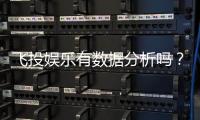 飞投娱乐有数据分析吗？深度解析其数据功能与玩家体验