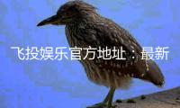飞投娱乐官方地址：最新官网入口及安全登录指南