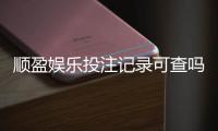 顺盈娱乐投注记录可查吗？一文详解查询方法与安全性保障
