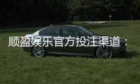 顺盈娱乐官方投注渠道：安全可靠的娱乐平台首选