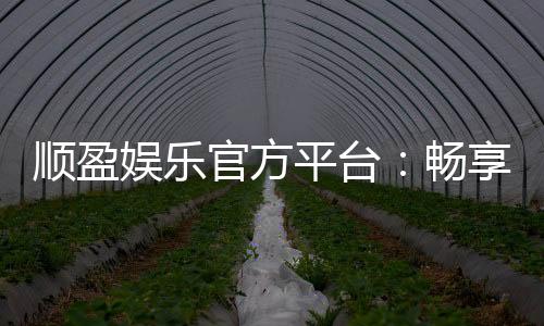 顺盈娱乐官方平台：畅享顶级棋牌与电子游艺的尊贵体验