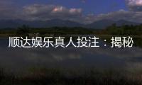 顺达娱乐真人投注：揭秘高胜率玩家的实战技巧与策略