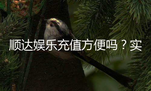 顺达娱乐充值方便吗？实测充值流程与到账速度解析
