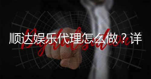 顺达娱乐代理怎么做?详细申请流程与盈利技巧分享