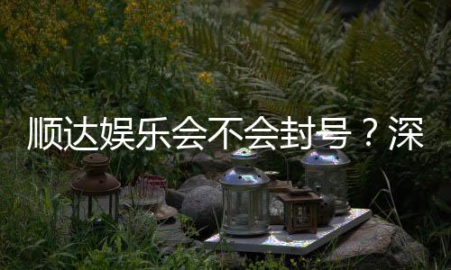 顺达娱乐会不会封号?深度解析账号安全与防封技巧