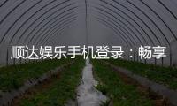 顺达娱乐手机登录：畅享移动端棋牌游戏的便捷与乐趣
