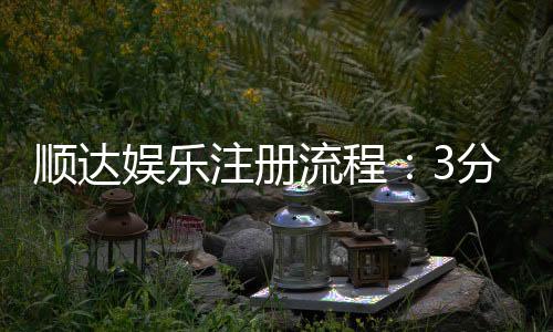顺达娱乐注册流程:3分钟快速开户指南