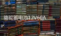 骆驼蓄电池12V60AH汽车电瓶L2400适配大众POLO宝来朗逸标致领克02