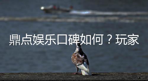 鼎点娱乐口碑如何？玩家真实评价与体验分享
